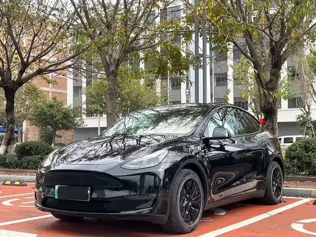 TESLA MODEL Y 2021