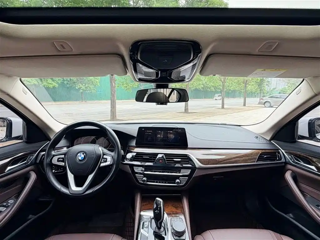 BMW 5 Series 5 2019 525Li Luxury