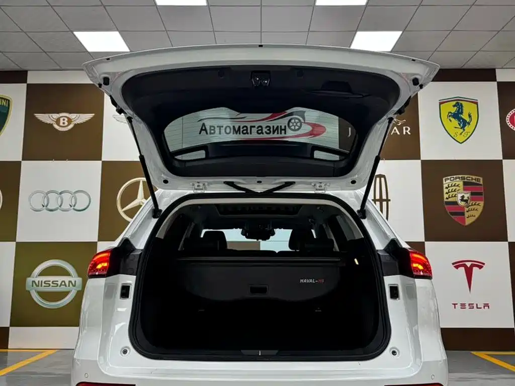 Haval H6 — миниатюра 17