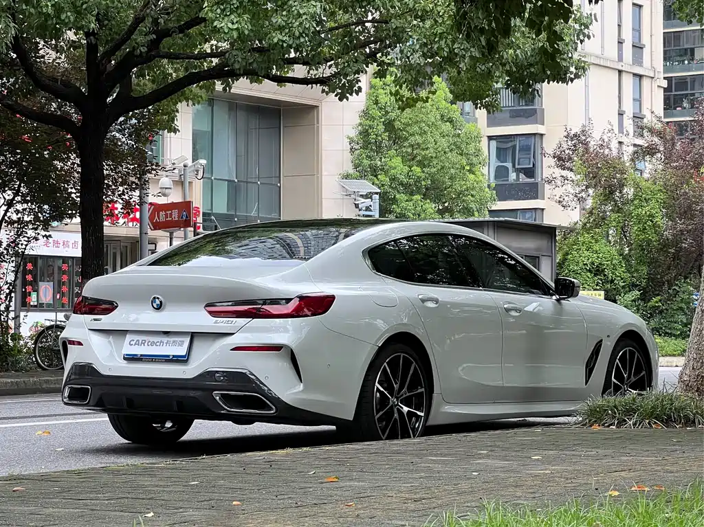 BMW 8 Series — миниатюра 5