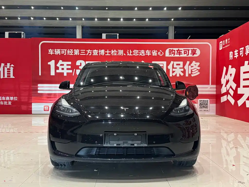 Tesla Model Y — миниатюра 2