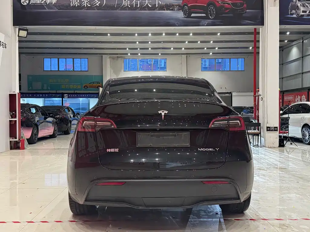 Tesla Model Y — миниатюра 5