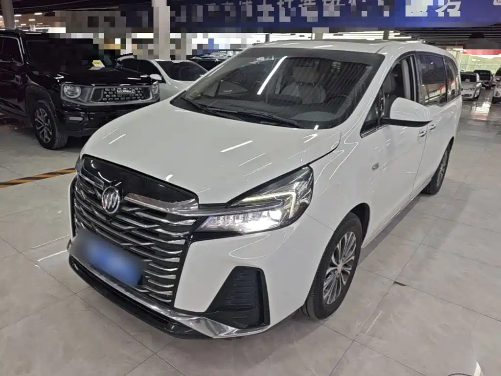 Buick GL8 — миниатюра 2