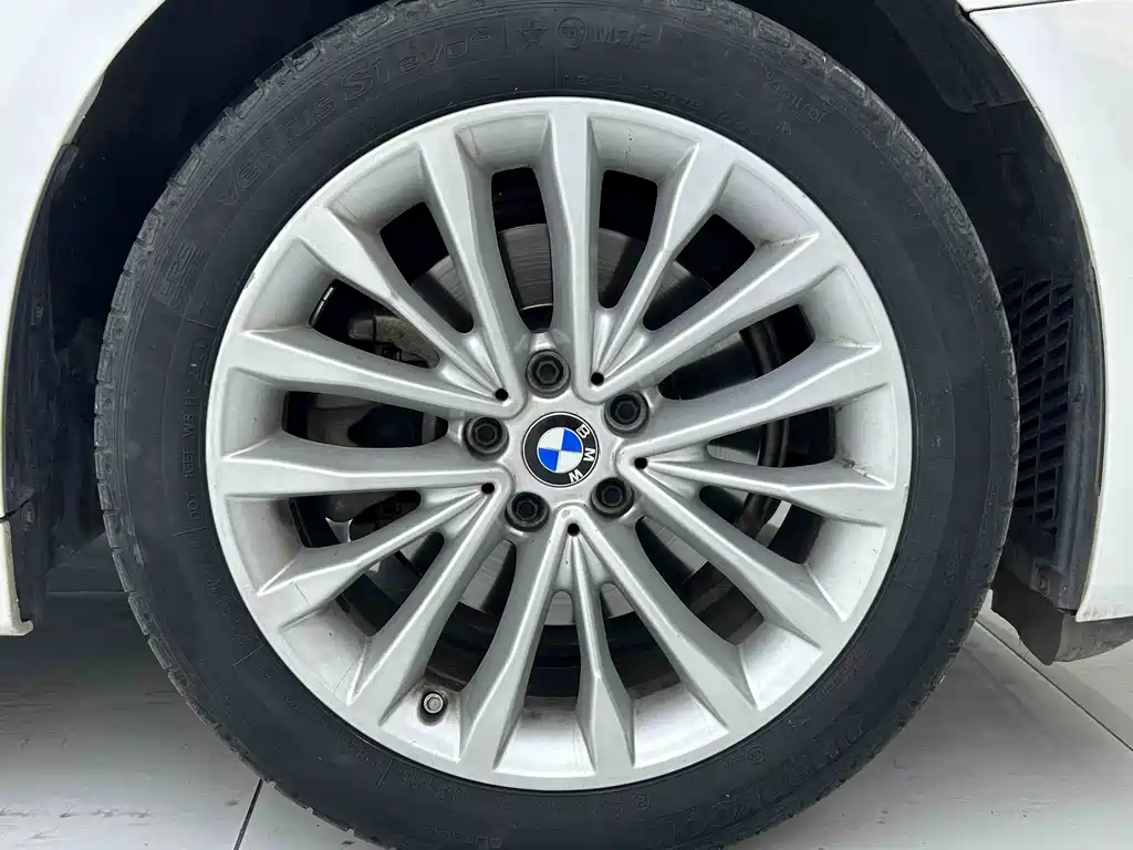 BMW 5 Series 5 2021 525Li Luxury