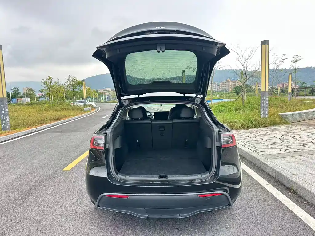 Tesla Model Y — миниатюра 17