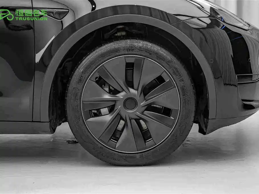 Tesla Model Y — миниатюра 11