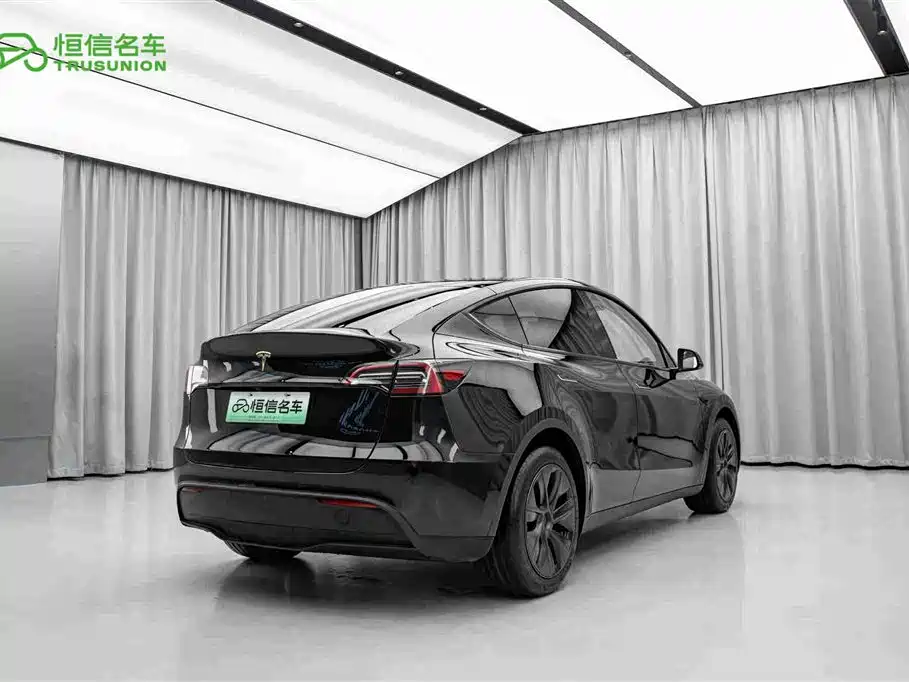 Tesla Model Y — миниатюра 5