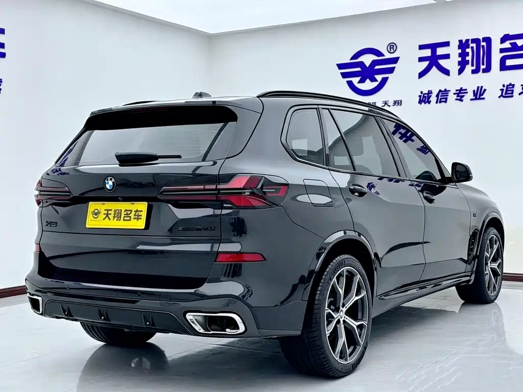 BMW X5 — миниатюра 8