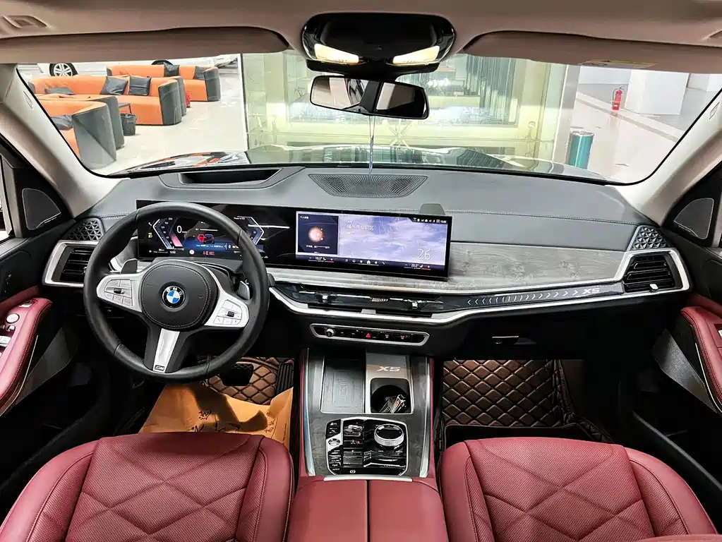 BMW X5 — миниатюра 8