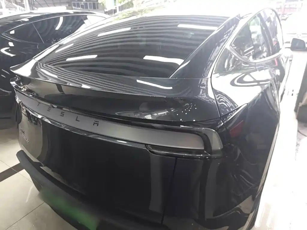 Tesla Model Y — миниатюра 6