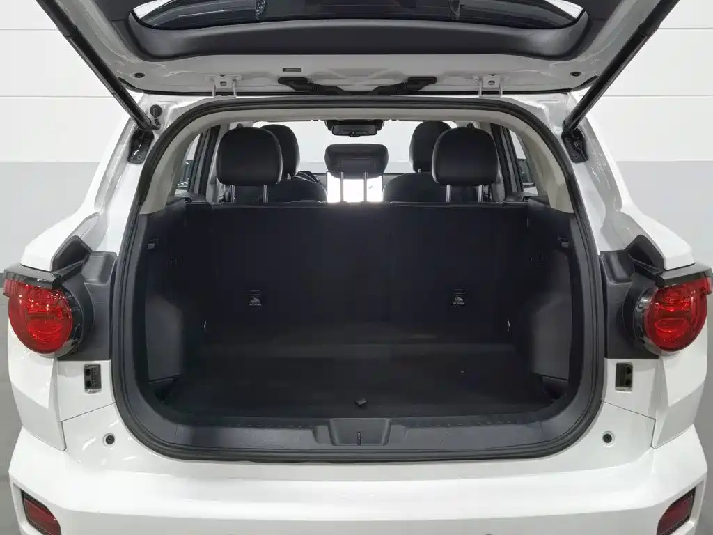 Haval Big Dog PLUS — миниатюра 16