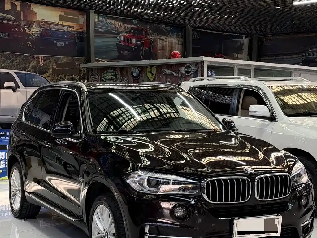 BMW X5 (Import) — миниатюра 3