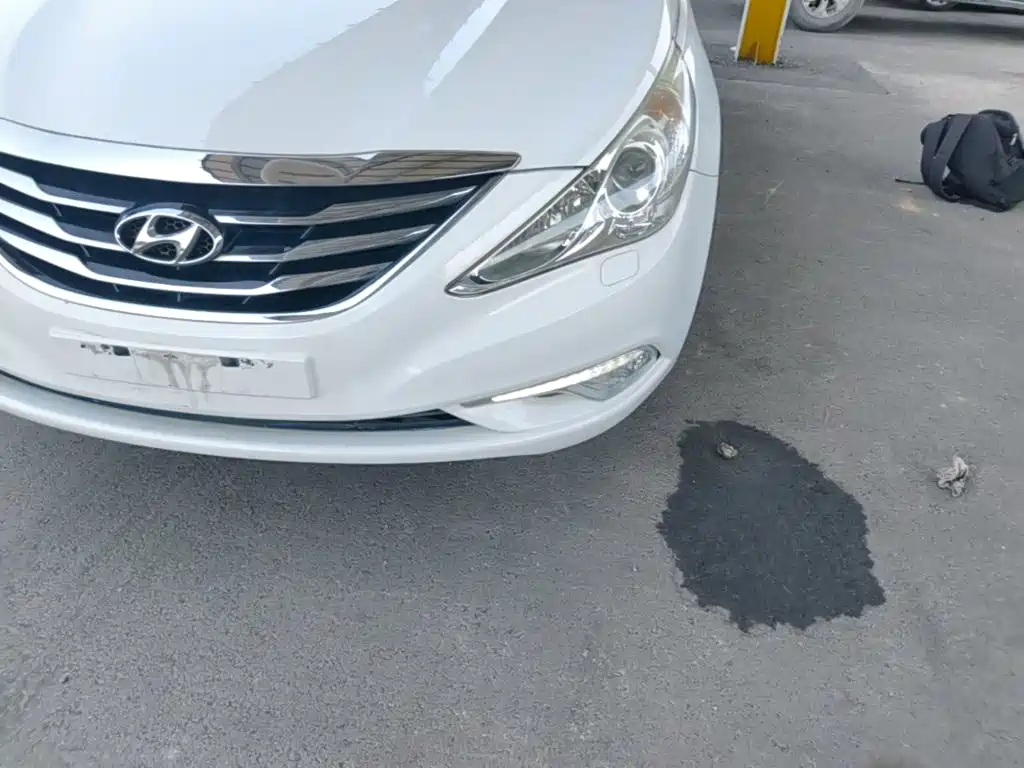 Hyundai Sonata — миниатюра 24