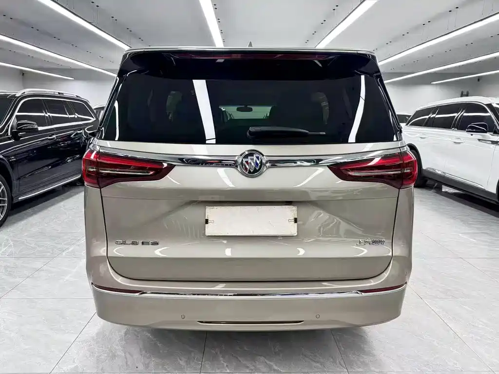 Buick GL8 — миниатюра 5