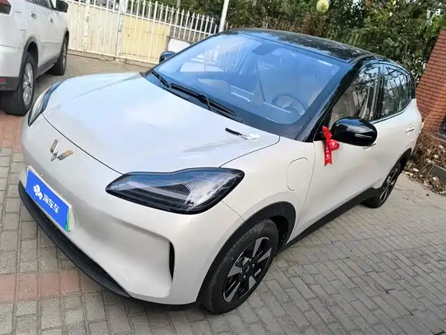 WULING AUTOMOBILE WULING BINGGUO PLUS 2025