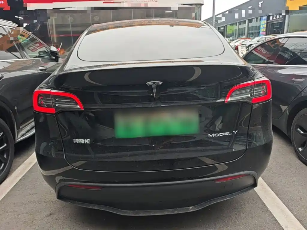 Tesla Model Y — миниатюра 6