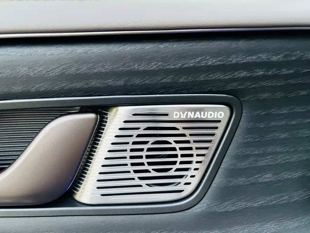 Denza D9 2022 — фото 24