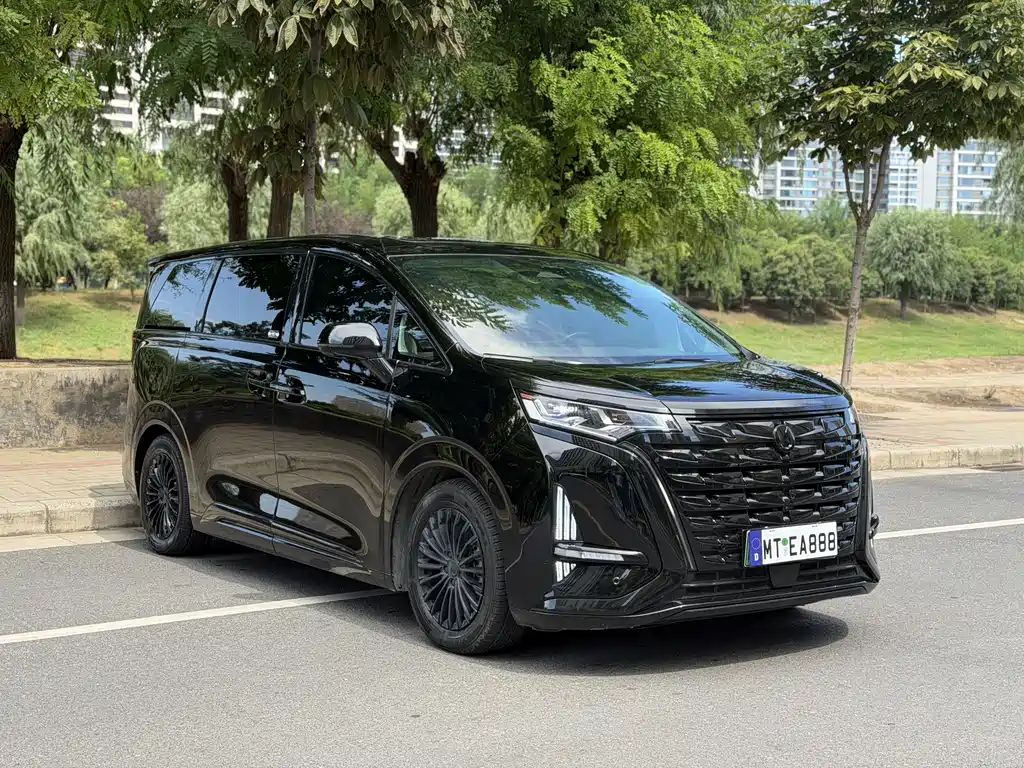 Denza Denza D9 — миниатюра 2