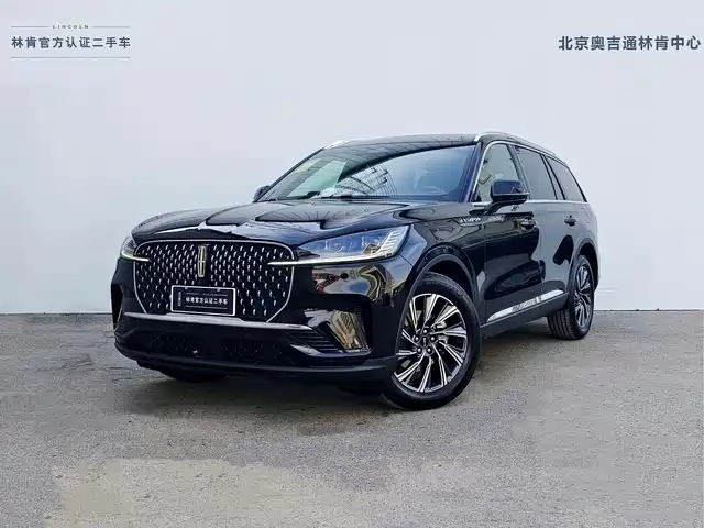 LINCOLN FLYING HOME 2025