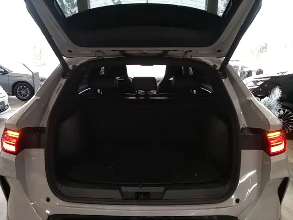 BYD PLUS New Energy — миниатюра 19