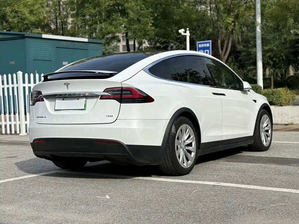 Tesla Model X — миниатюра 8