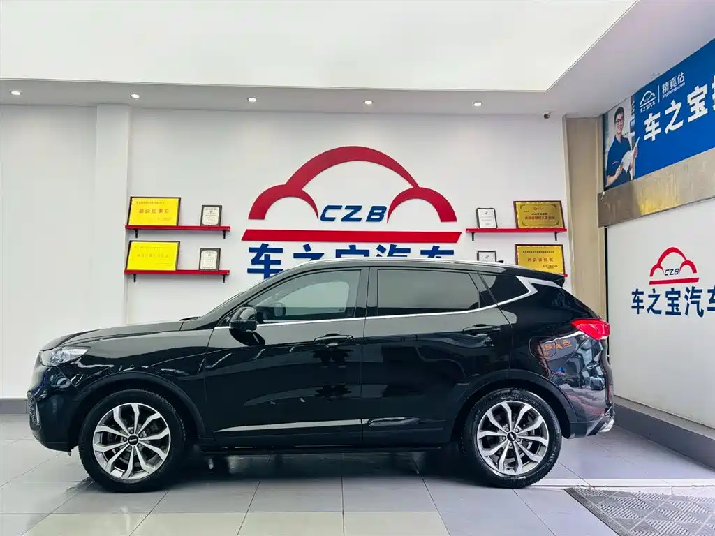 WEI PAI WEI BRAND VV6