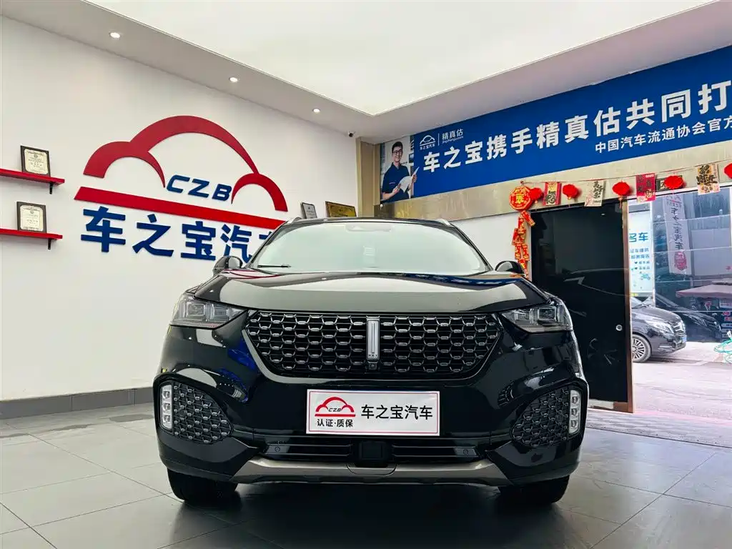 WEI PAI WEI BRAND VV6