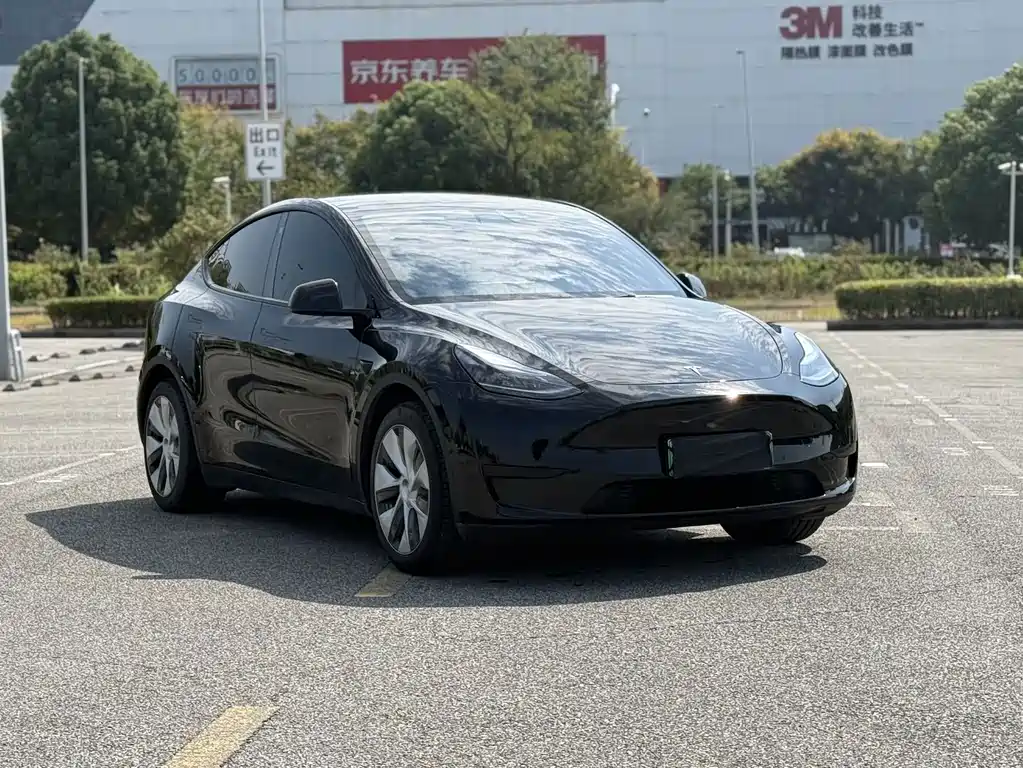 Tesla Model Y — миниатюра 4