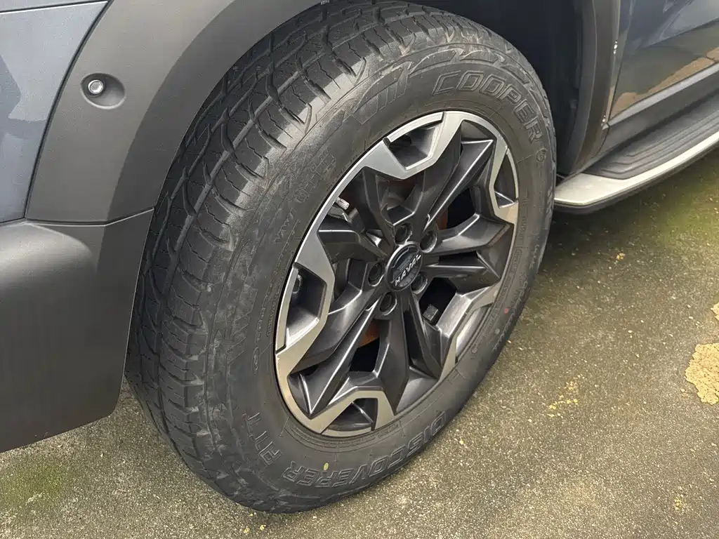 Haval Big Dog — миниатюра 5