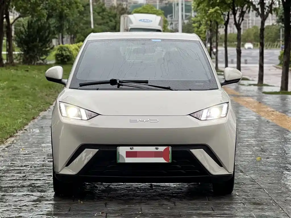 BYD Seagull 2023 Freedom