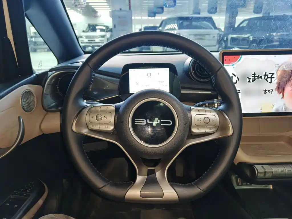 BYD Dolphin — миниатюра 11