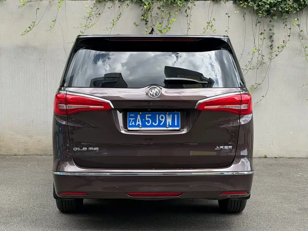 Buick GL8 — миниатюра 8