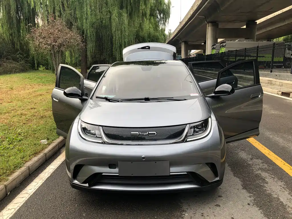 BYD Dolphin — миниатюра 15
