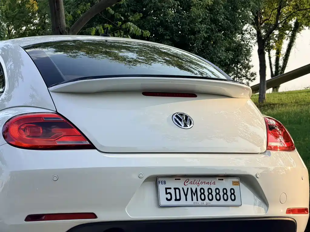 Volkswagen Beetle — миниатюра 20