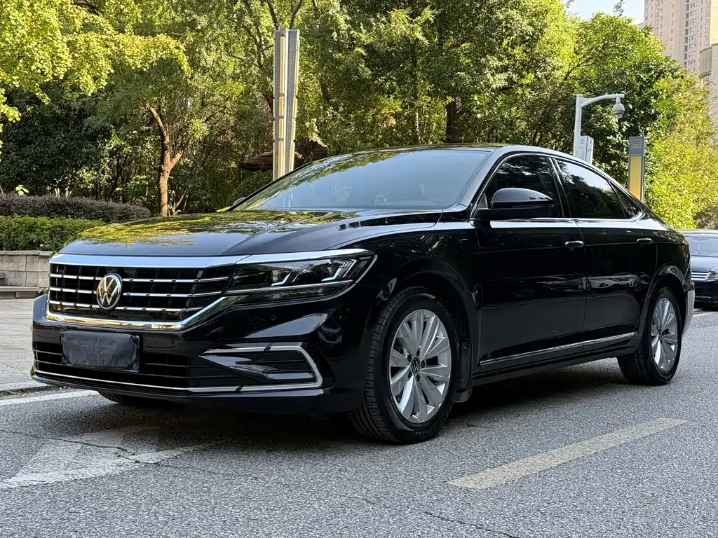 Volkswagen Passat — миниатюра 2
