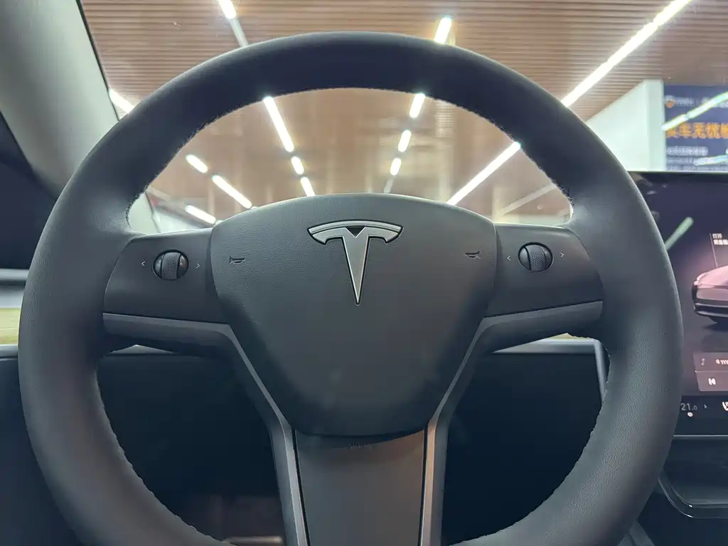 Tesla Model Y — миниатюра 10