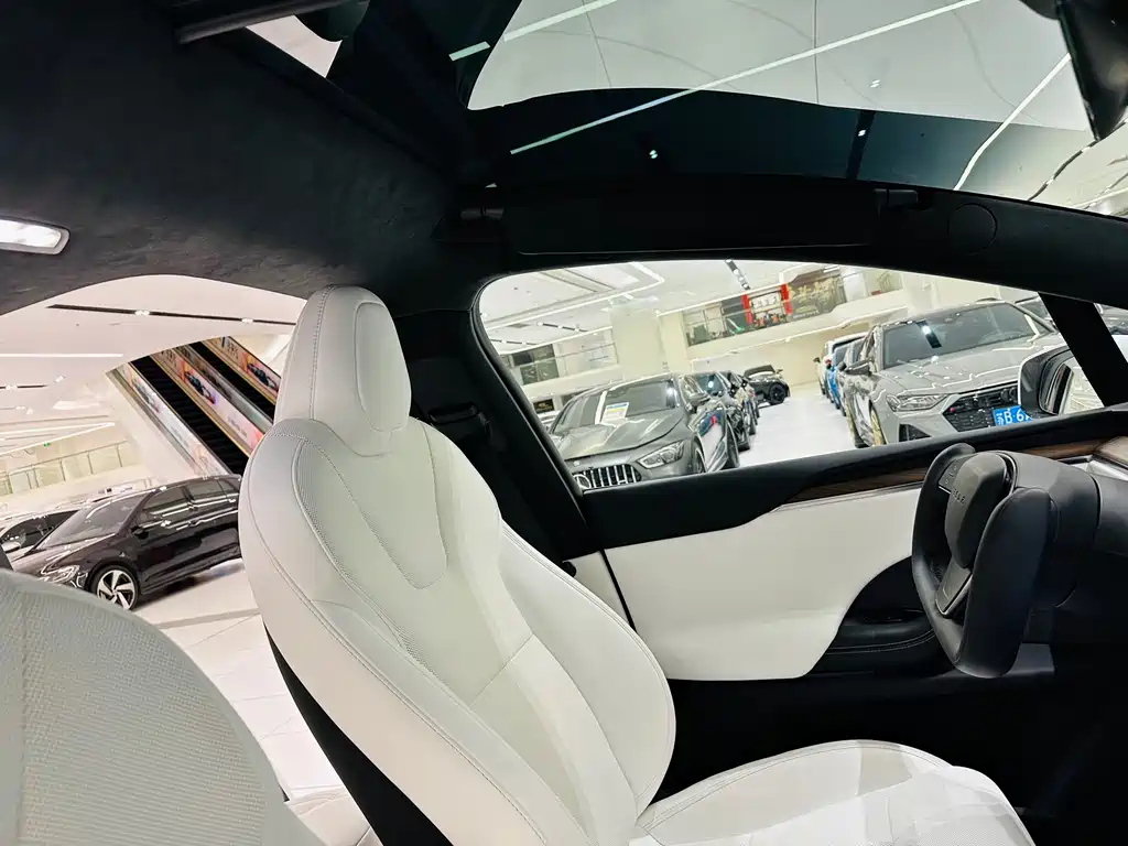 Tesla Model X — миниатюра 6