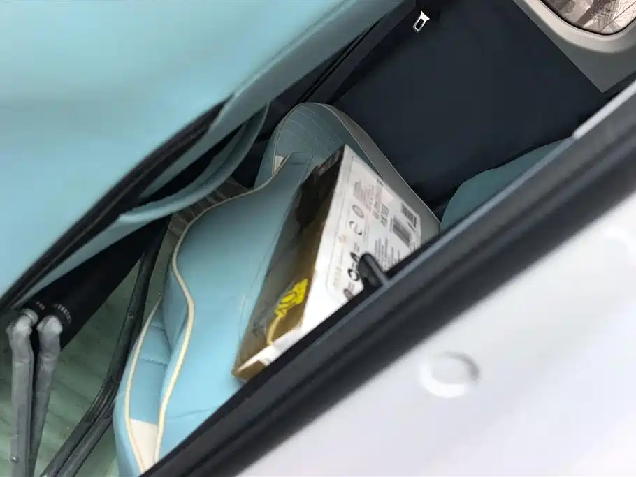 BESTUNE PENTIUM PONY