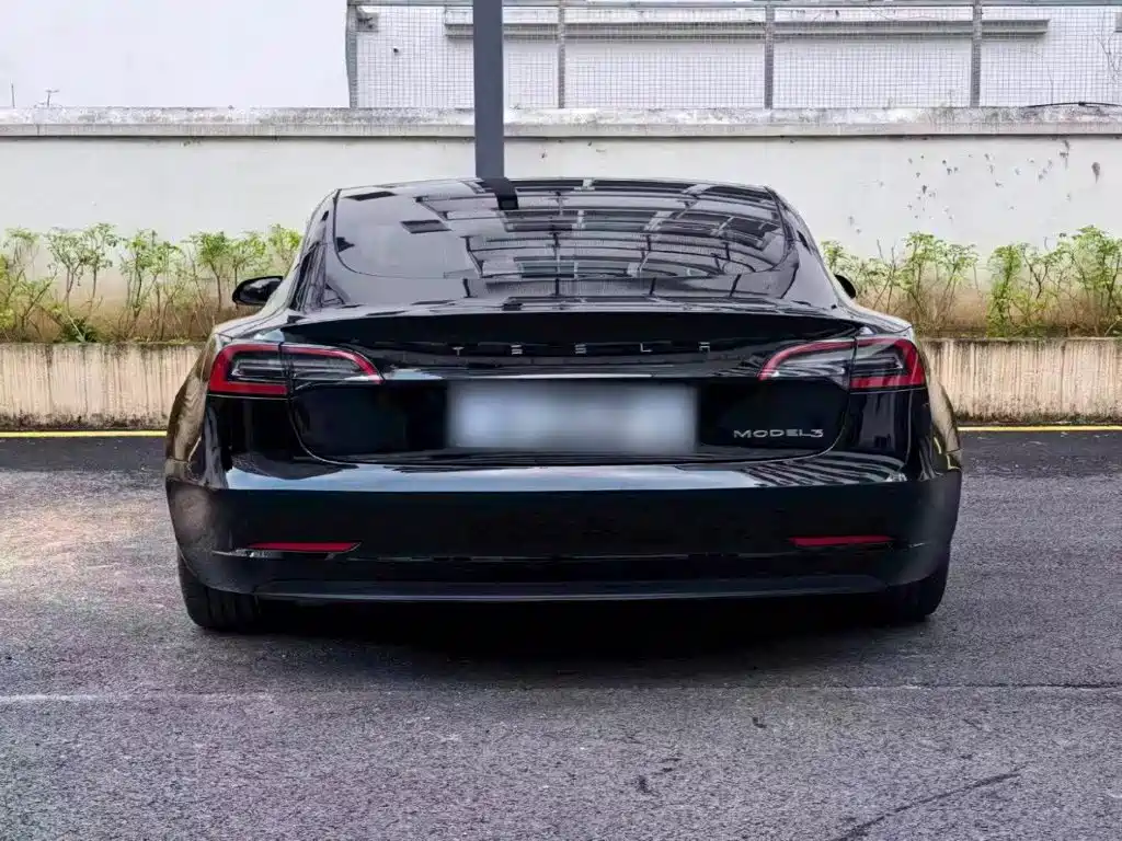 Tesla Model 3 — миниатюра 6