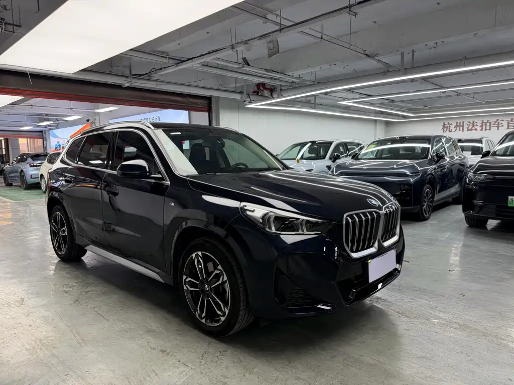 BMW X1 — миниатюра 3