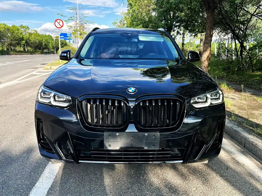 BMW X3 — миниатюра 2