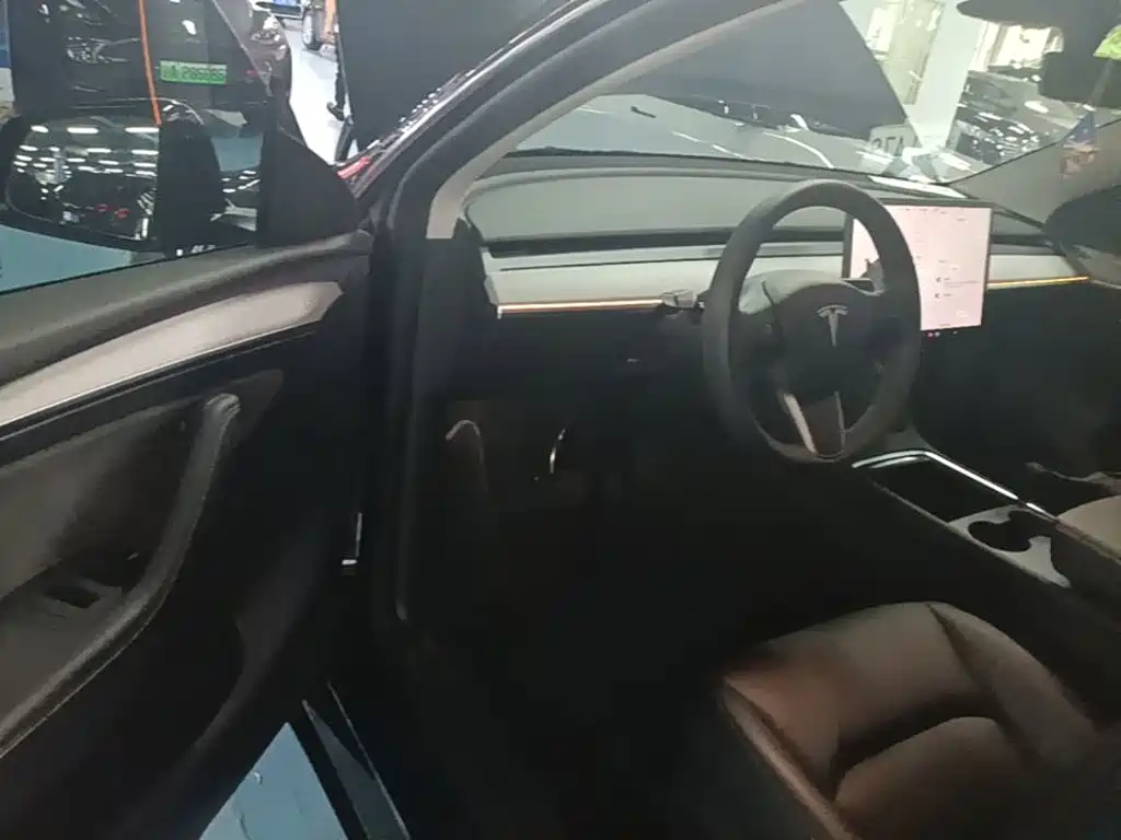 Tesla Model Y — миниатюра 16