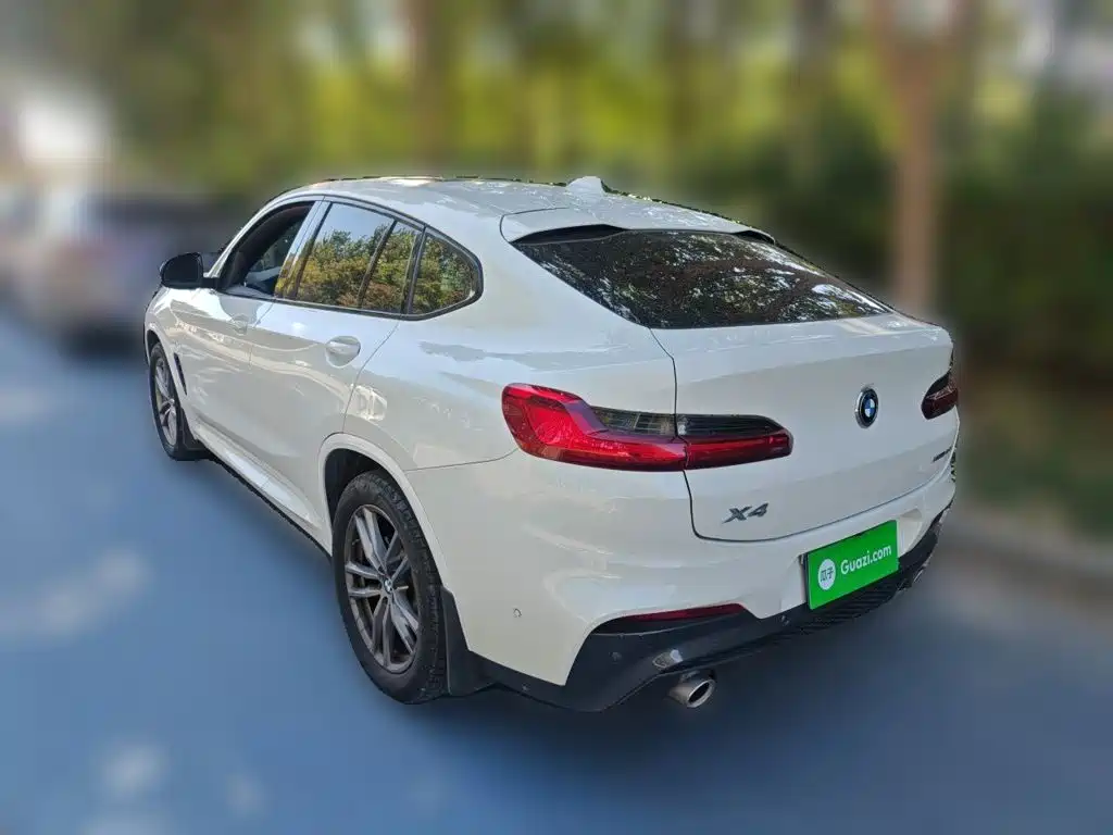 BMW X4 — миниатюра 4
