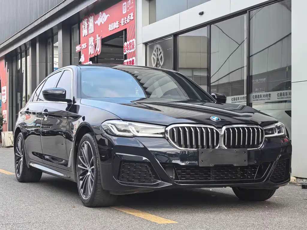 BMW 5 Series — миниатюра 3