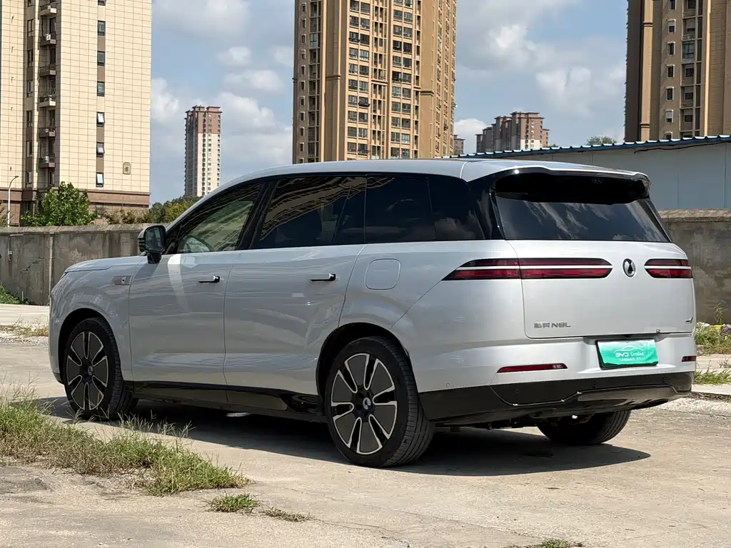Denza Denza N8L — миниатюра 4