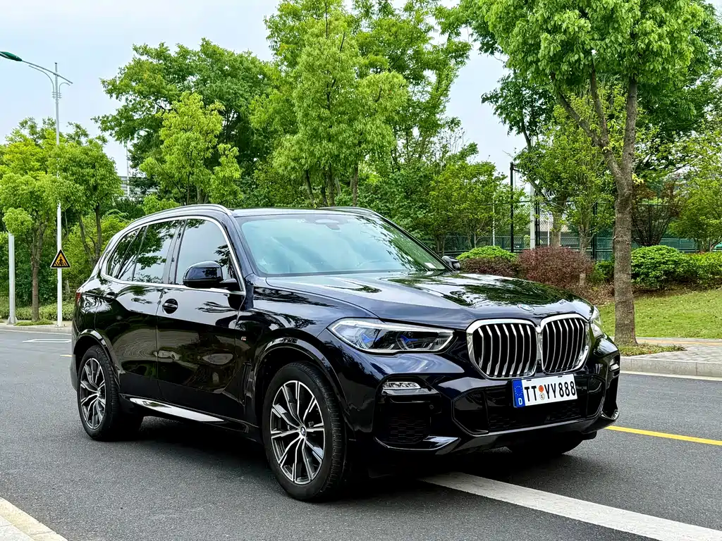 BMW X5 (Import) — миниатюра 3