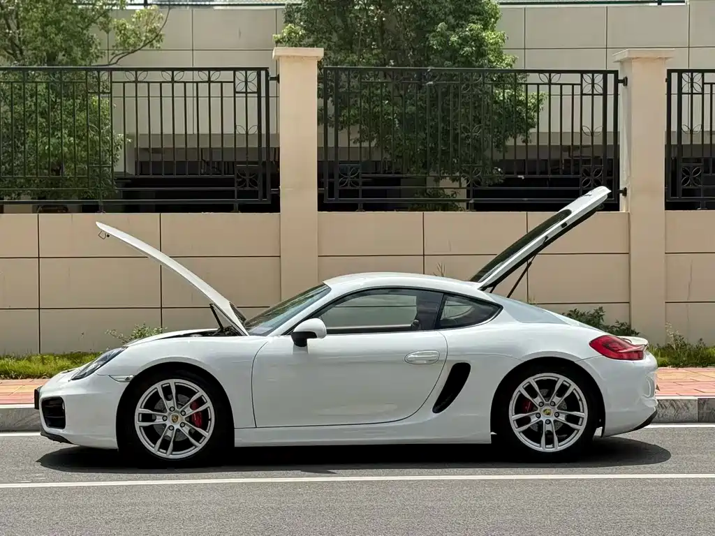 Porsche Cayman — миниатюра 9