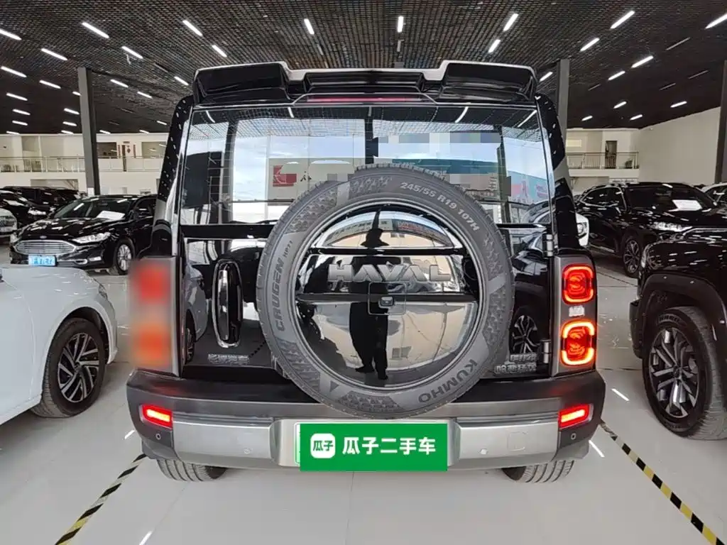 Haval Menglong New Energy — миниатюра 6