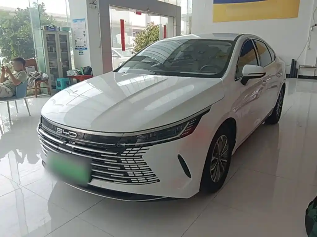 BYD Destroyer 05 — миниатюра 2