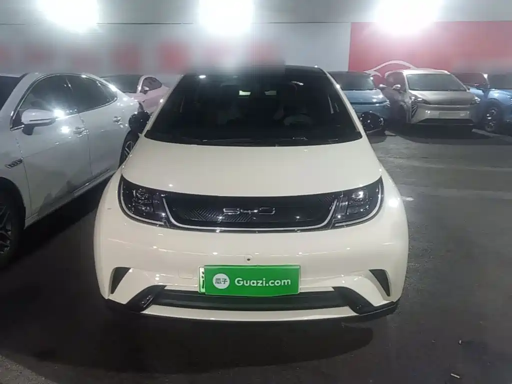 BYD Dolphin — миниатюра 3